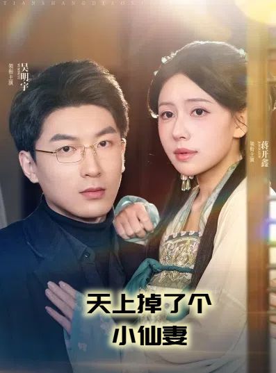 天上掉了个小仙妻(天上掉下个小仙女) 第1-20集